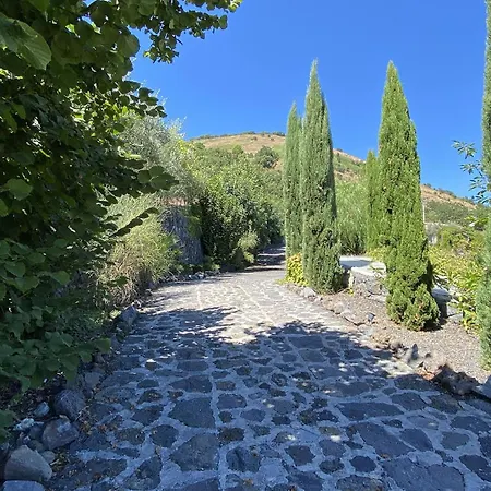 Il Palmento Dell'etna * Trecastagni