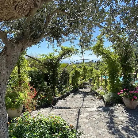 Il Palmento Dell'etna