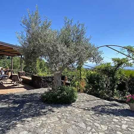 Il Palmento Dell'etna * Trecastagni