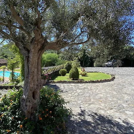 Il Palmento Dell'etna Villa